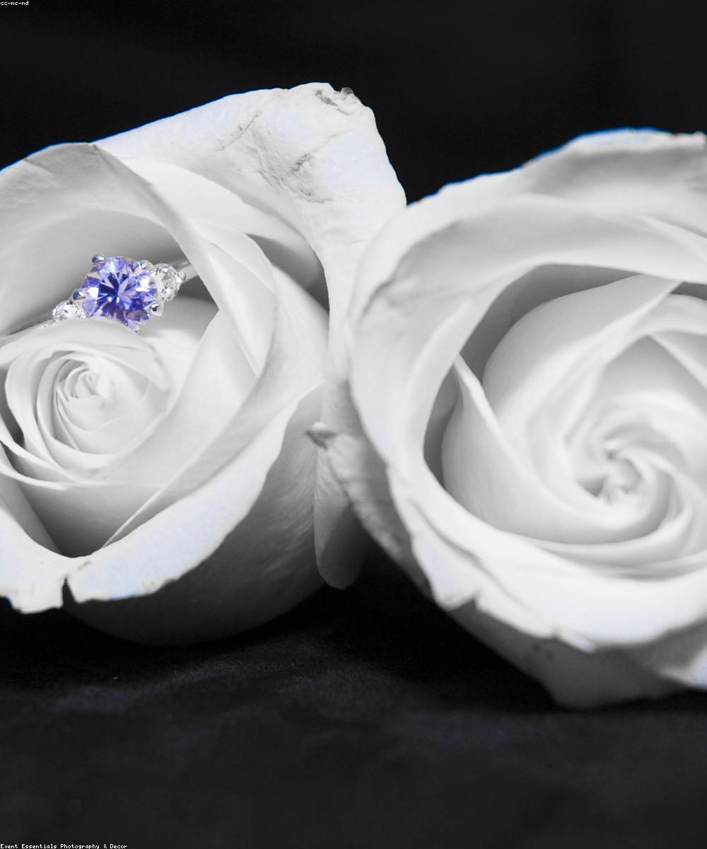 New Road Photography wedding